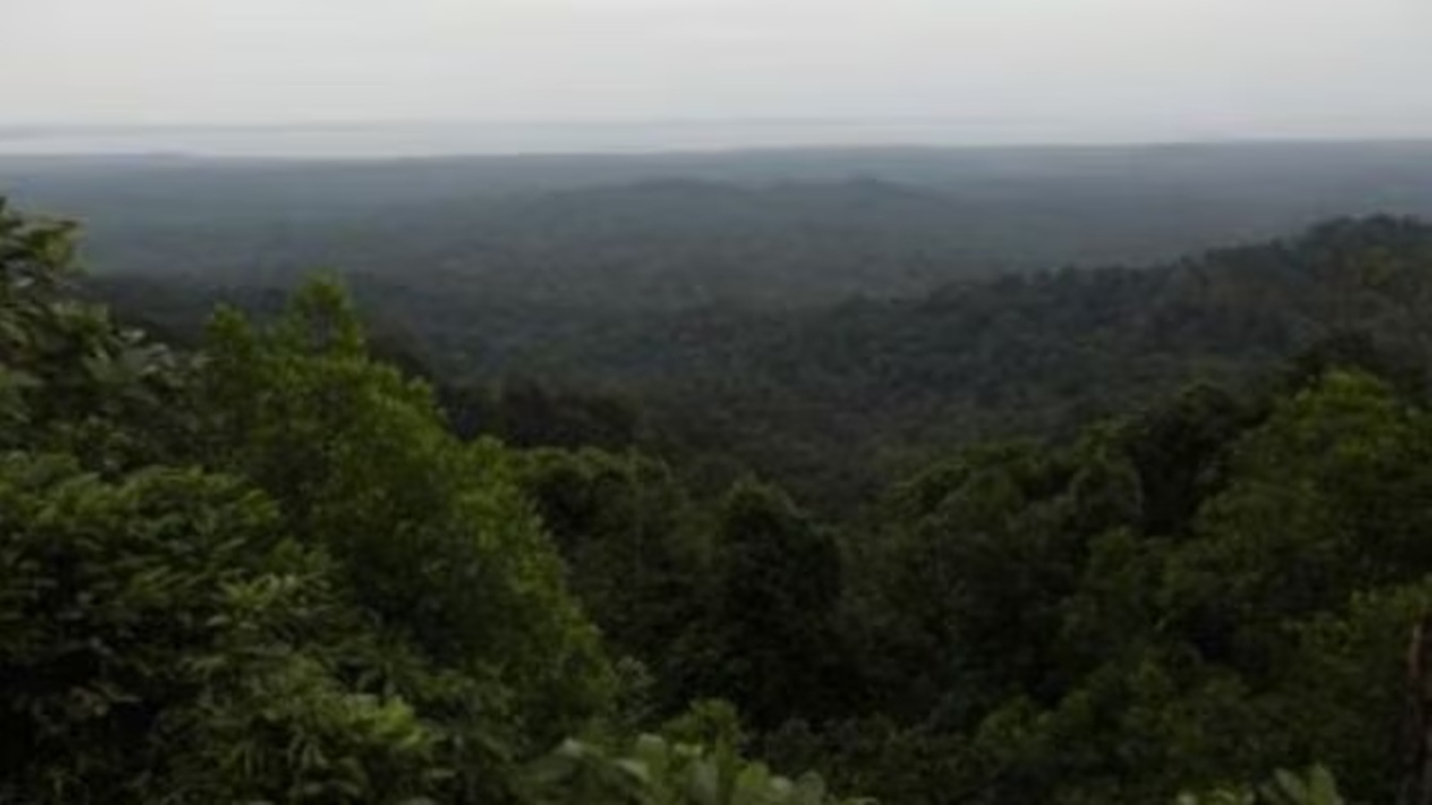 Assam Commando Battalion Camp: 'No more discussion, intervention is required': India News in the disposal of NGT