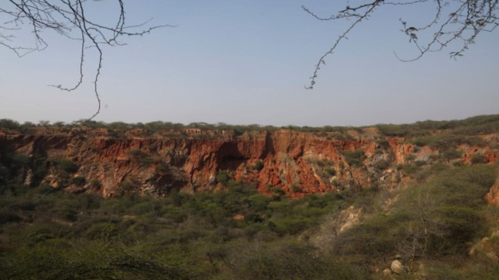 Environment Day: PM Modi yesterday to launch Arvalli Green Project. Bharat News