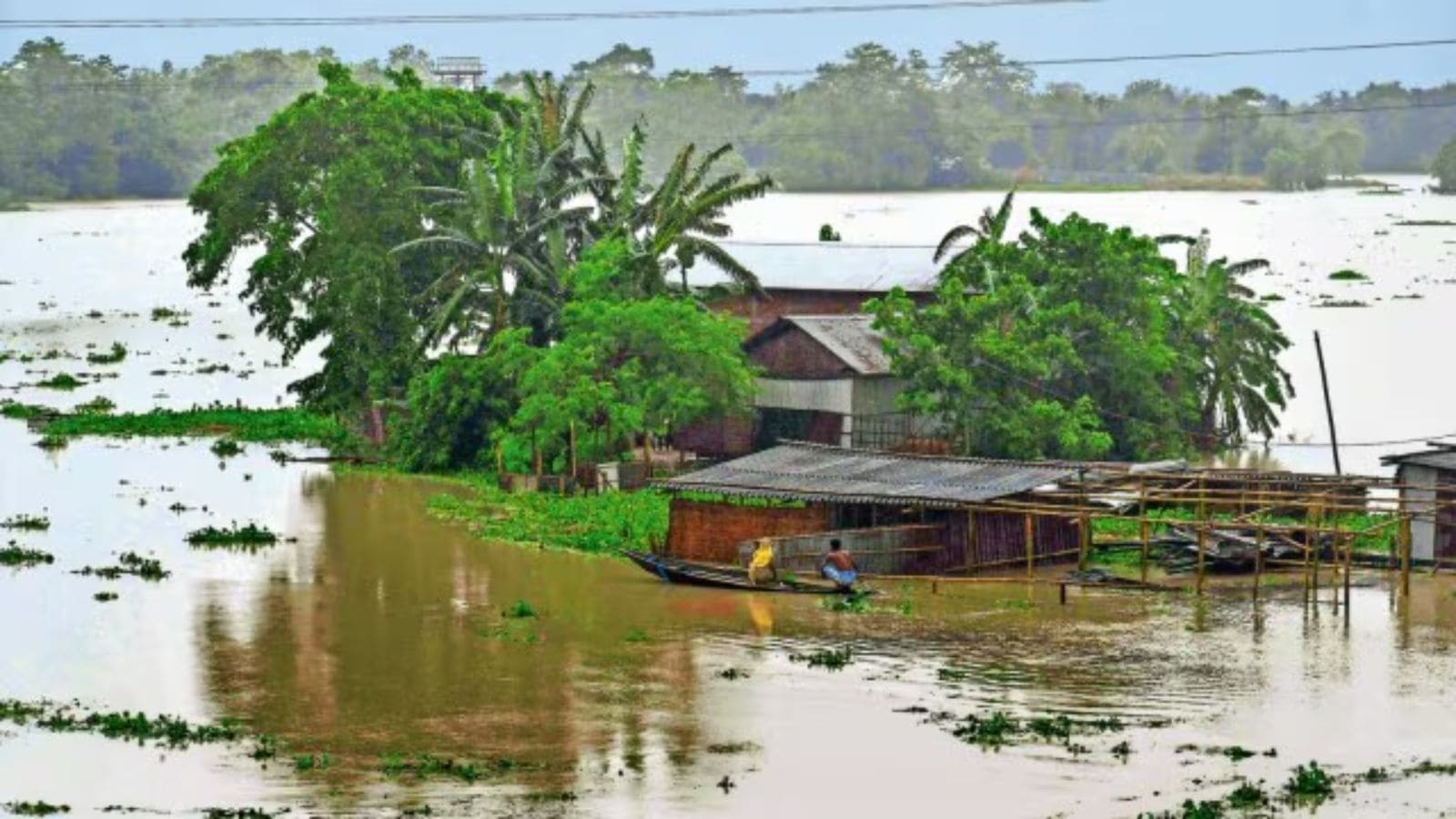 Improvement in Assam flood situation, 3.37 lakh affected in 12 districts. Bharat News