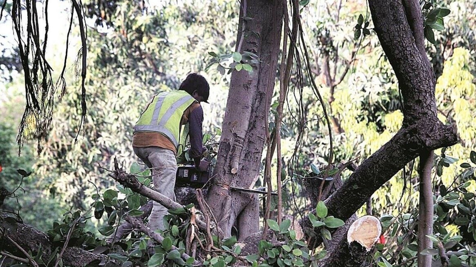 J&K: ACB arrested Tehsildar for taking Rs 1 lakh, who is a bribe to cut trees as a bribe