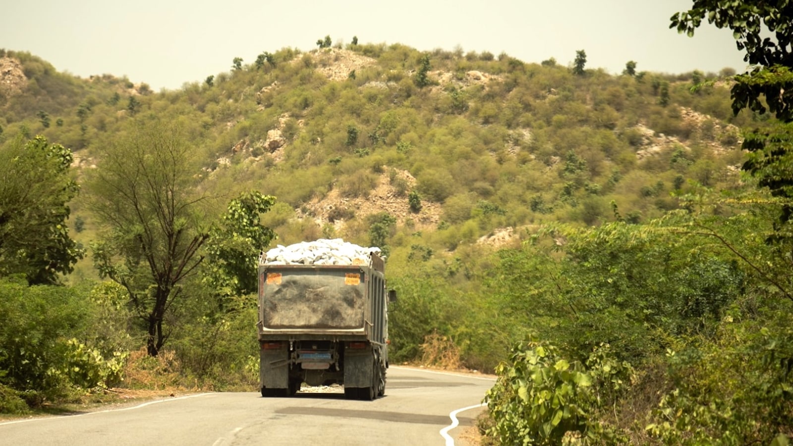 More than 50 mines can benefit because Sariska's important tiger habitat can be rebuilt by India News