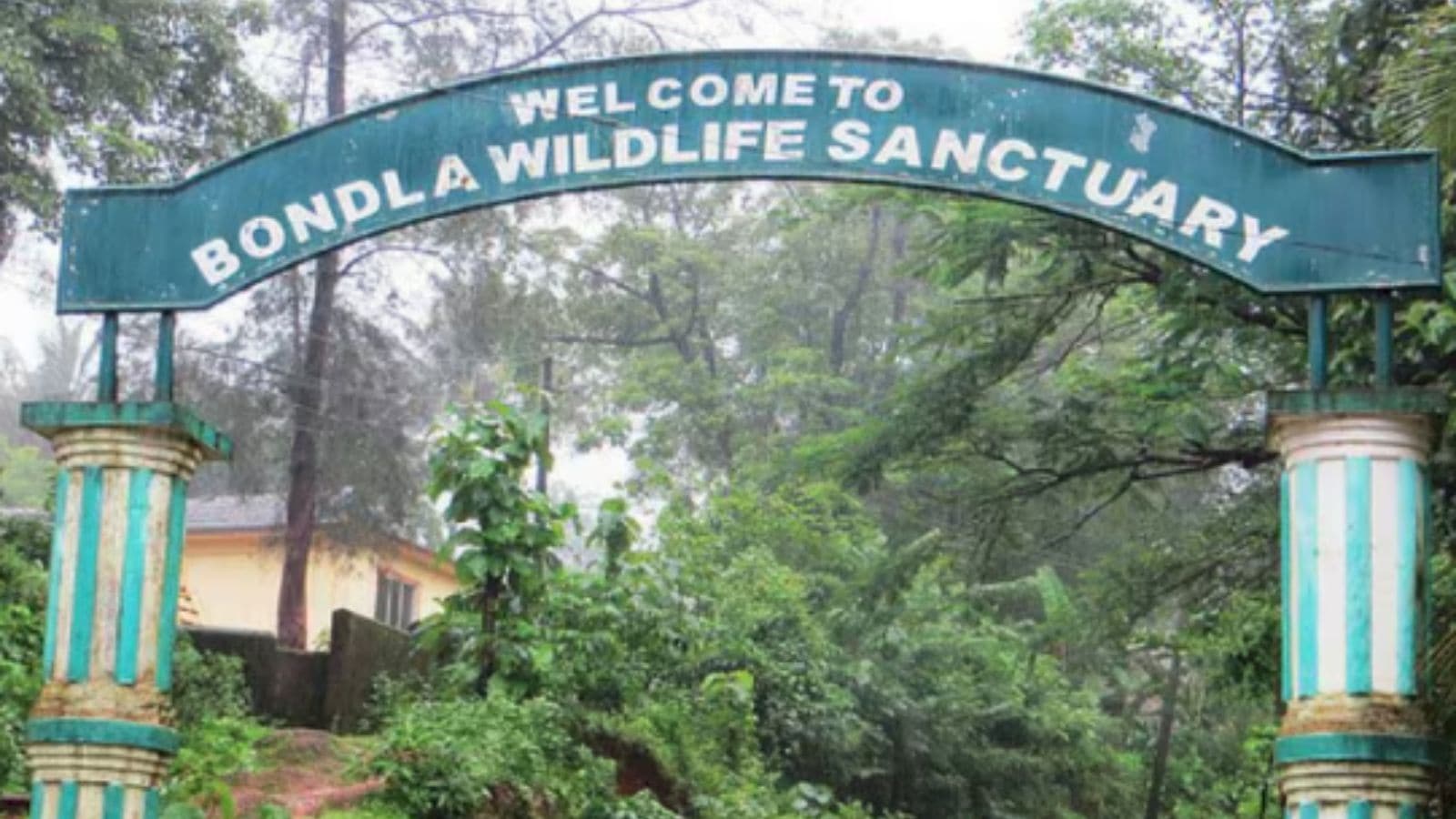 Open Goa Zoo after the outbreak of bird flu. Bharat News