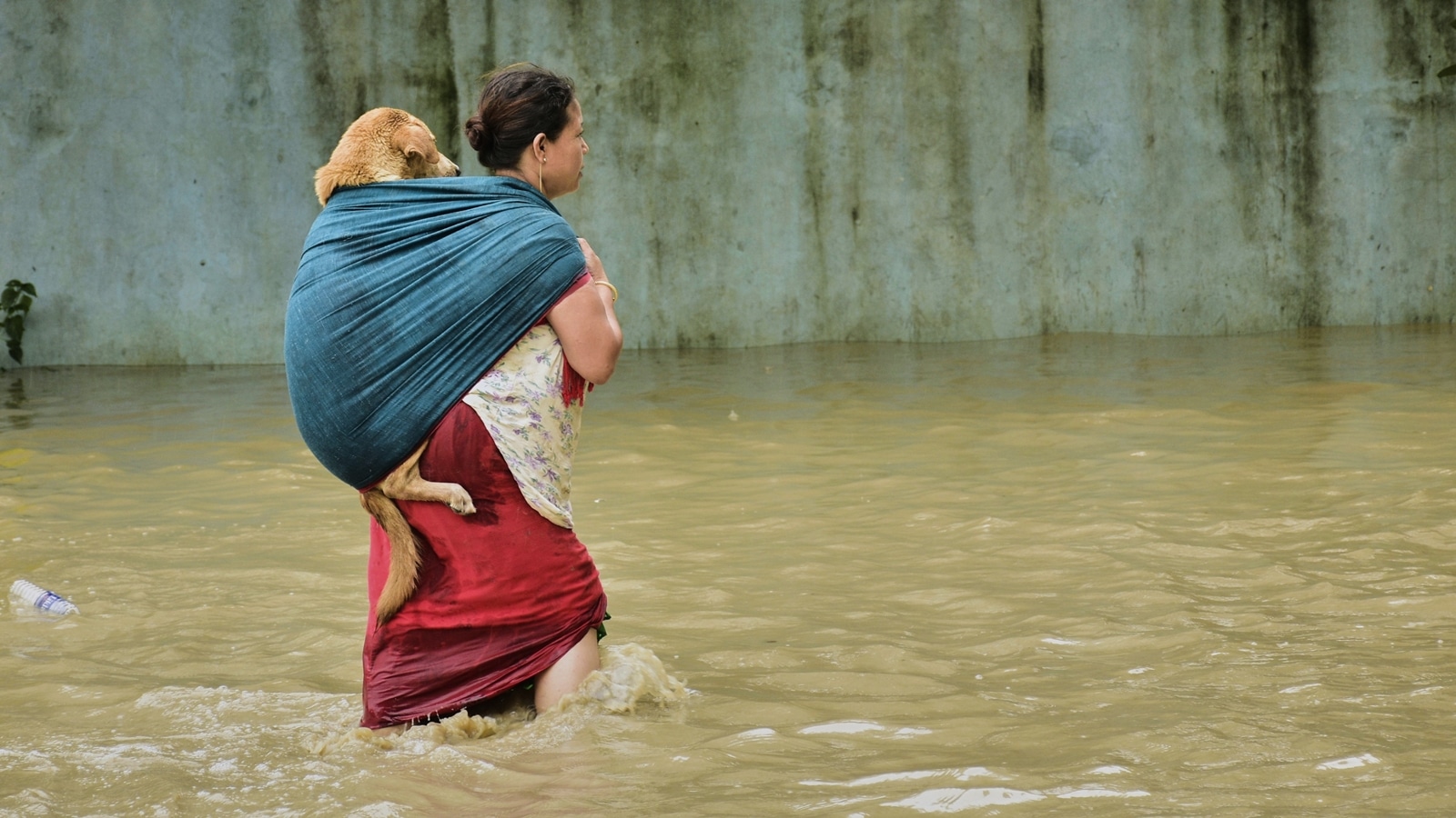 Varsha fury wreakes havoc in north -east, thousands of people went to shelters, schools closed. Bharat News