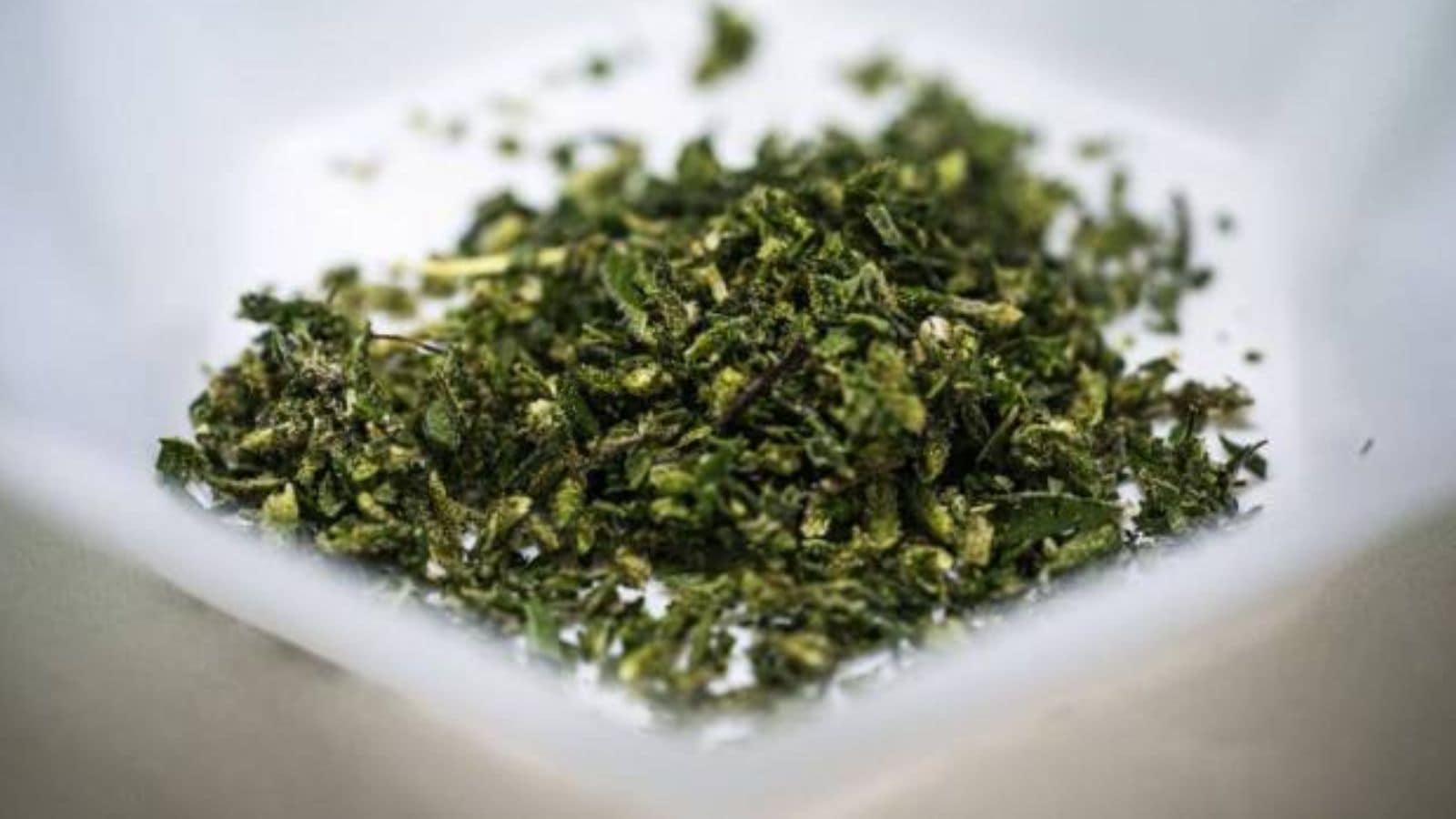 'Yoga Guru' who returned from Goa to establish an ashram from Goa, police said that the police said that 2 kg weeds were found. Bharat News