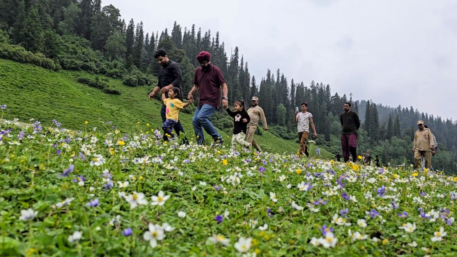 A new road opens a valley of flowers for tourists in Jammu. Bharat News