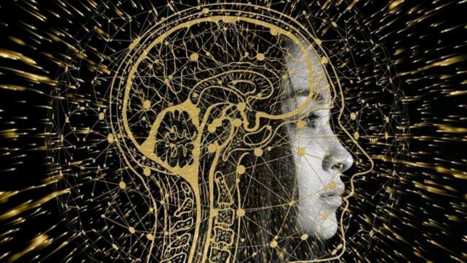 Blocking AI web crawler in the US and Britain leads to calls for proper revenue stake in India