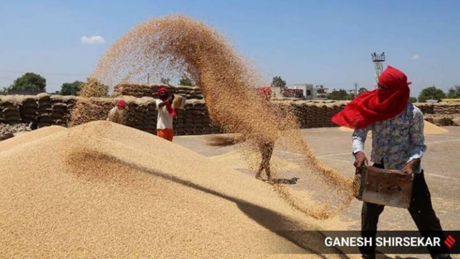 Center prices for open market sale of wheat 10.86% and rice 3% prices India News