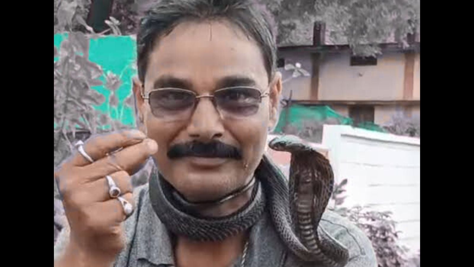 Cobra around his neck, the cost of his life in the hurry of part -time snake rescuers. Bharat News