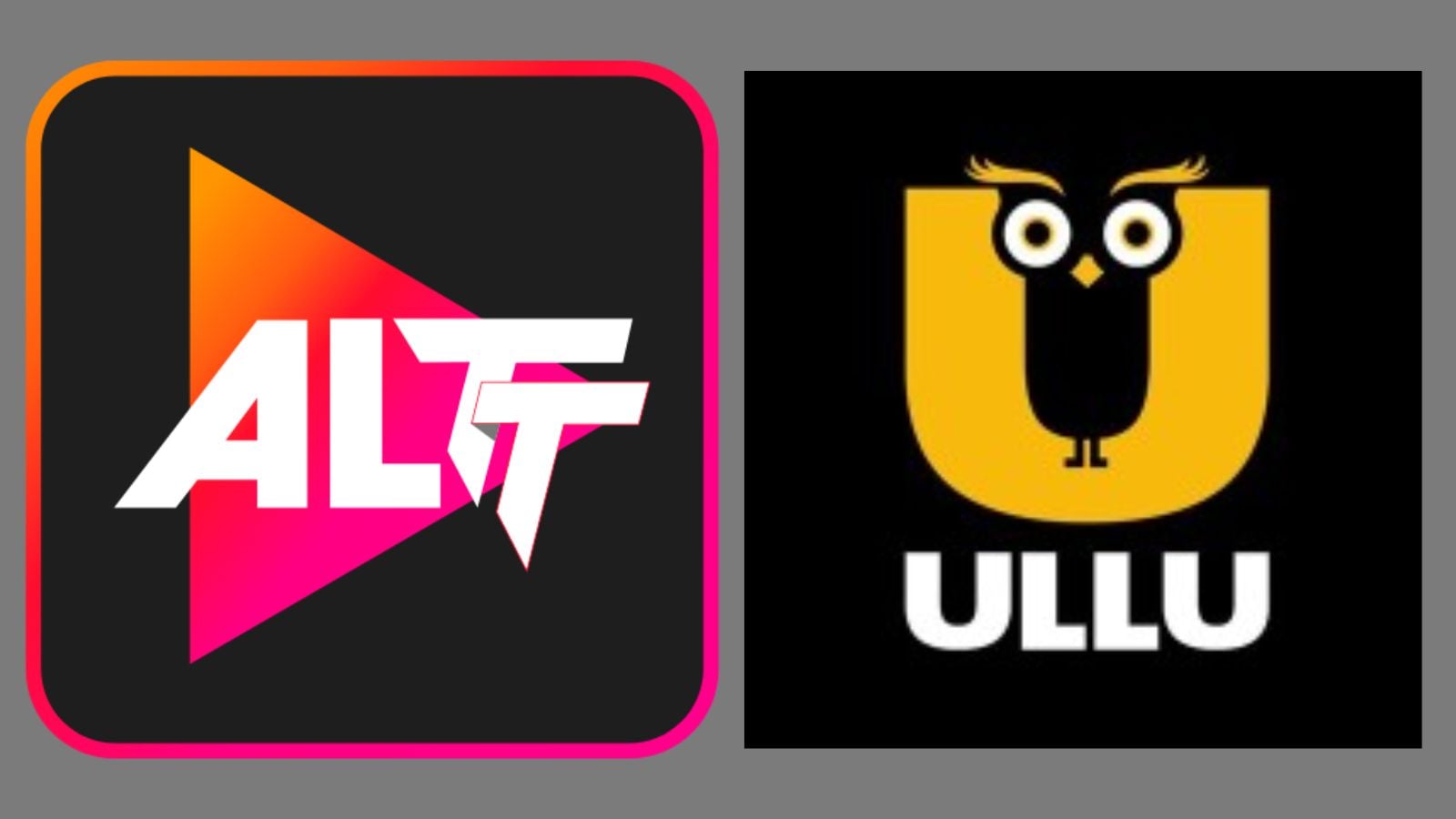 India news impose more than 20 OTT platforms including ULLU, ALTT, Desiflix for the government