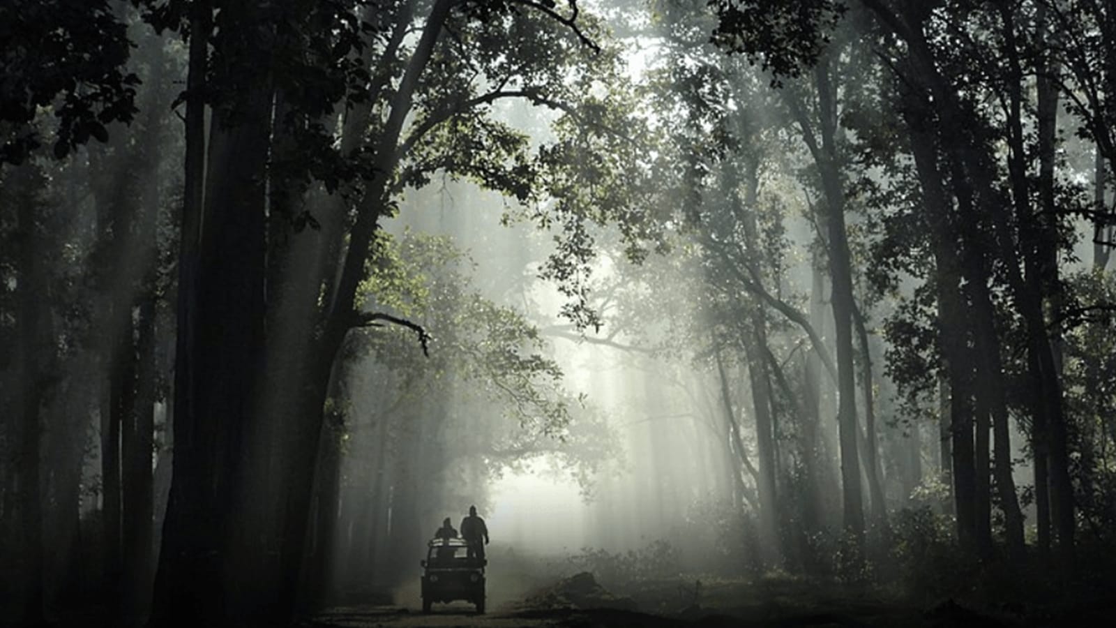 Ladakh to Arunachal, 30 defense projects Wildlife Panel Node Mill India News