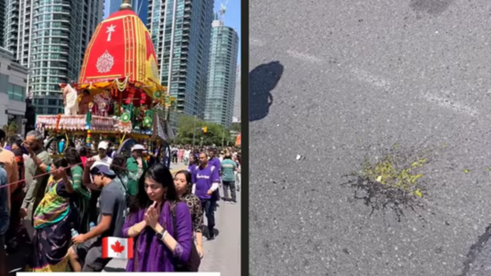 'Low acts': India condemned eggs being thrown in Rath Yatra in Toronto