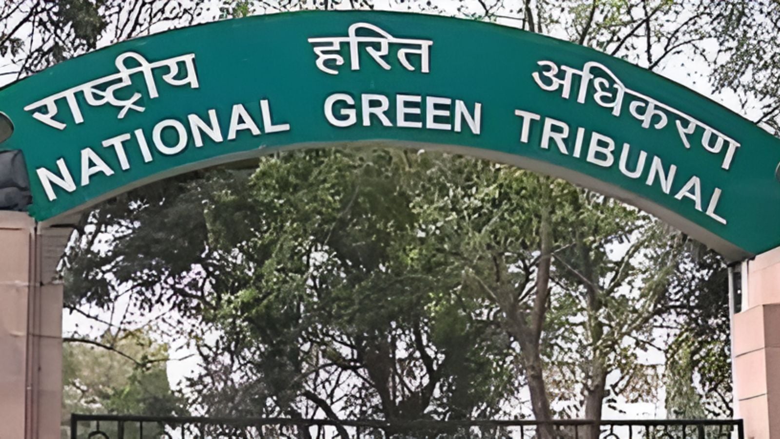 No tree cuts for the Kanwar route, the way the government said that the government tells the NGT. Bharat News