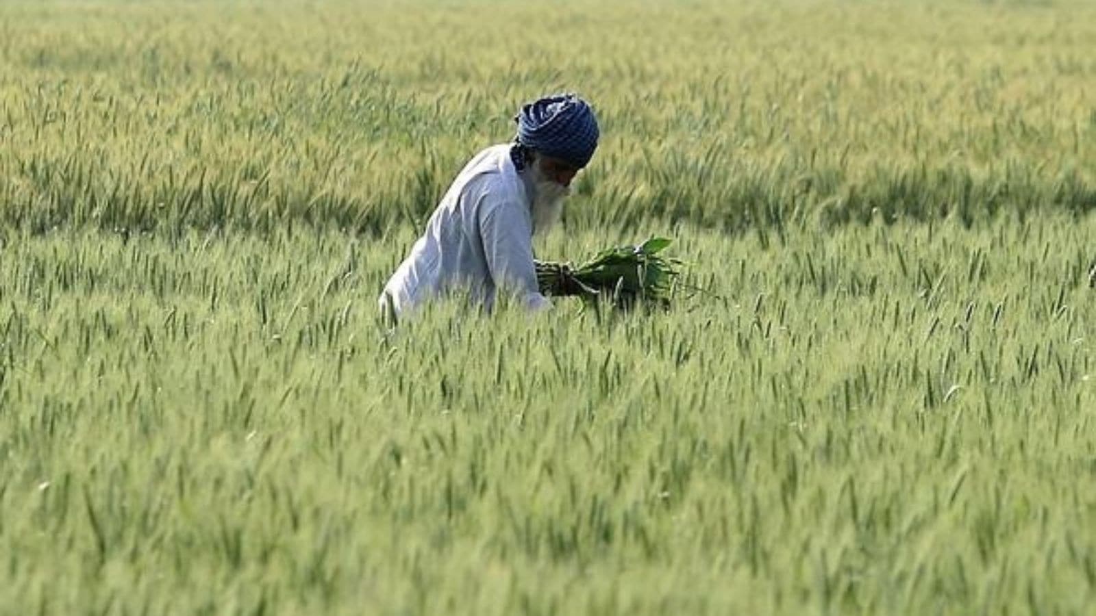 PM Kisan Saman Nidhi Yojana: 20th installment to achieve 6 major stages. Bharat News