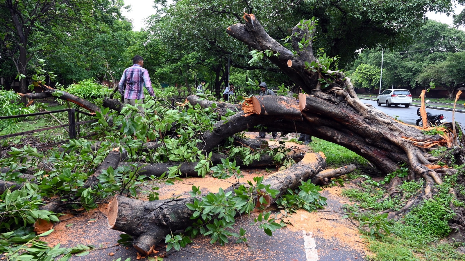 Sustainable development does not mean to use bulldozers to clean the forests: SC | Bharat News