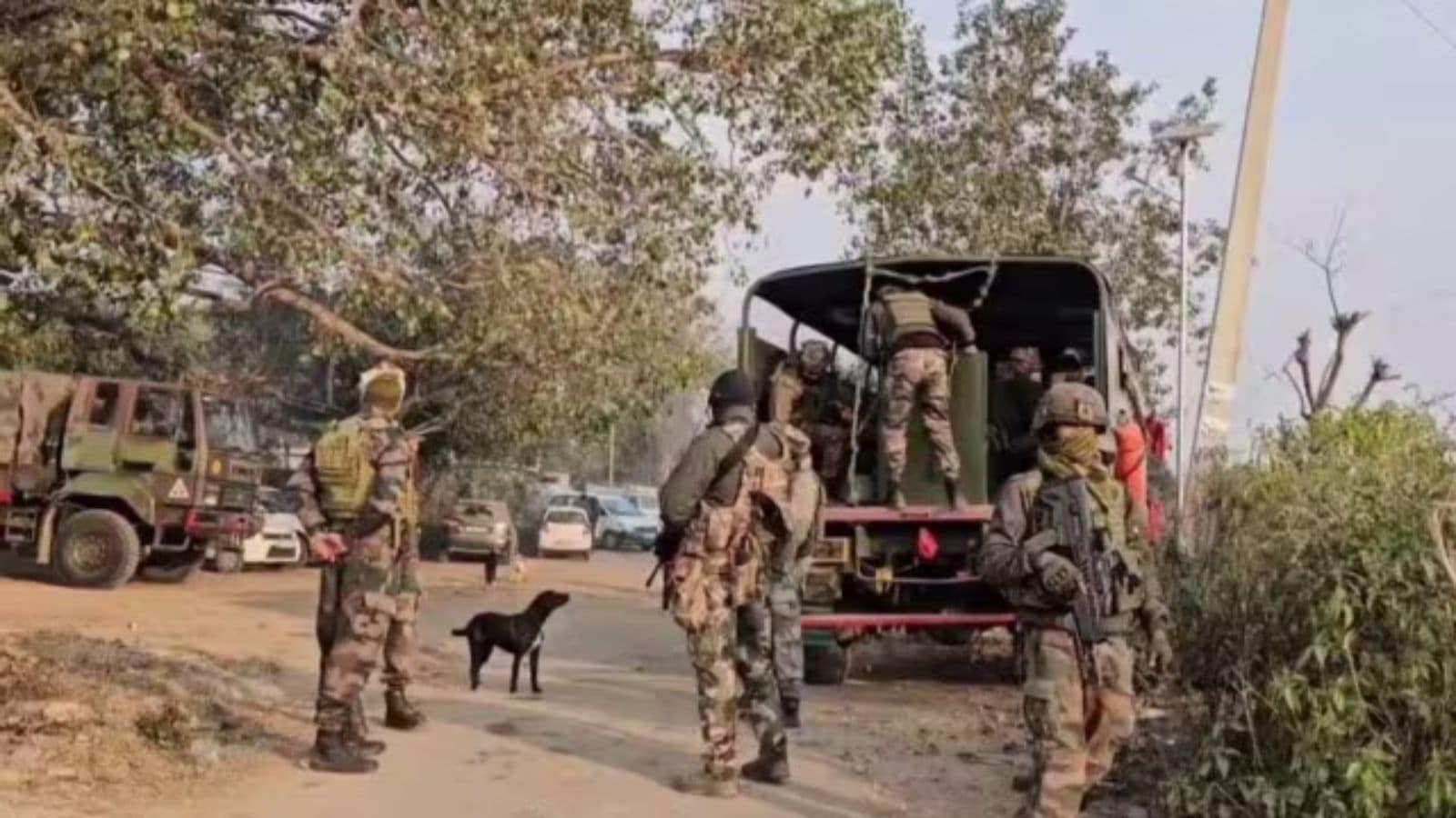 Top Maoist leaders out of 17 killed in OPS, anti -OPS of Jharkhand this year: Police | Bharat News